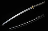 Hand Forged Katana 1095 High Carbon Steel Full Tang Samurai Katana Practice
