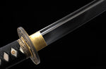 Hand Forged Katana 1095 High Carbon Steel Full Tang Samurai Katana Practice