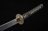 Hand Forged Katana 1095 High Carbon Steel Full Tang Samurai Katana Practice